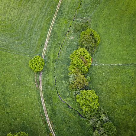         Graslandschap vanuit vogelperspectief - Veld met bomen
    