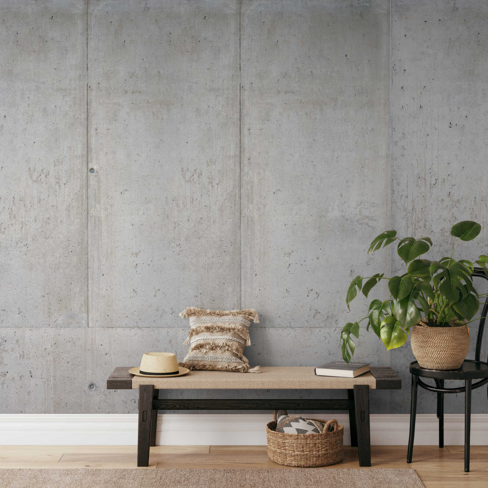 betonte Wand, Bank, Pflanze, Kissen, Korb