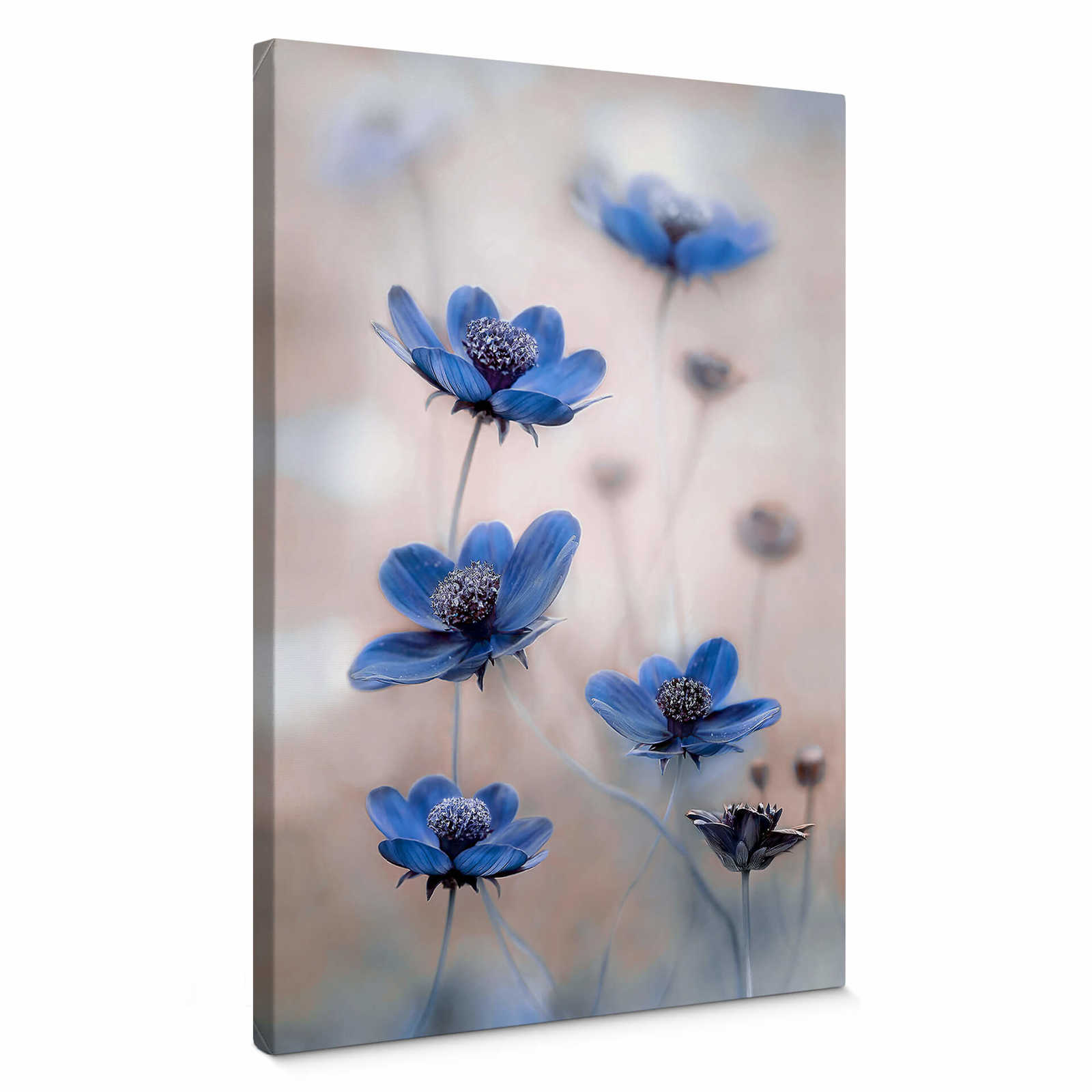         Canvas print "Blue cosmos" by Discher – blue
    