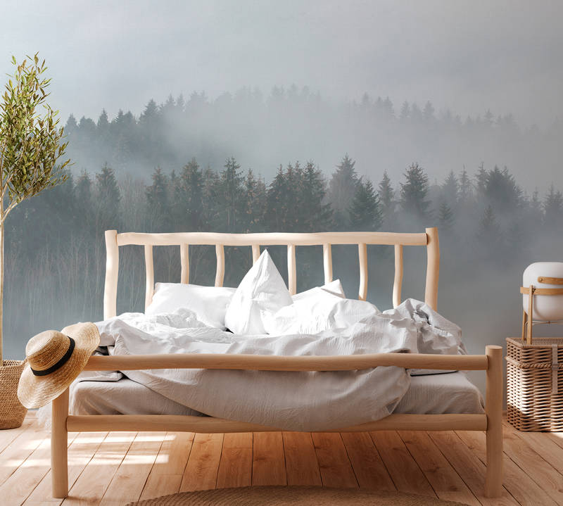             Geheimnisvoller Wald im Nebel – Weiß, Grün, Grau
        