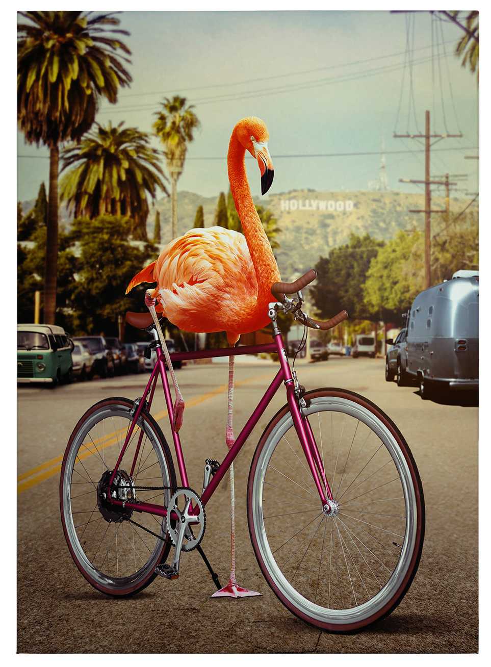             Leinwandbild Flamingo auf Fahrrad von Loose – 0,50 m x 0,70 m
        