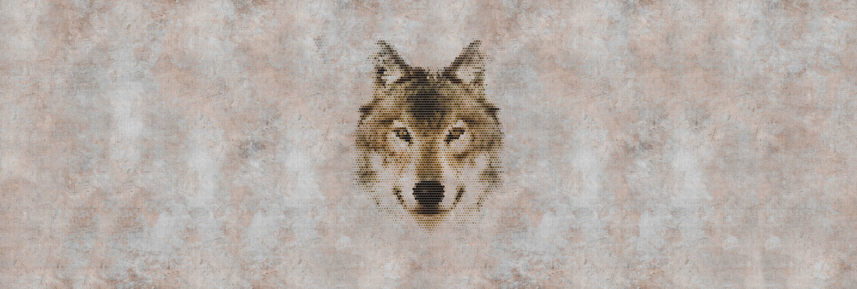 Hund, Wolf, Roter Wolf, Schnauze, Kojote