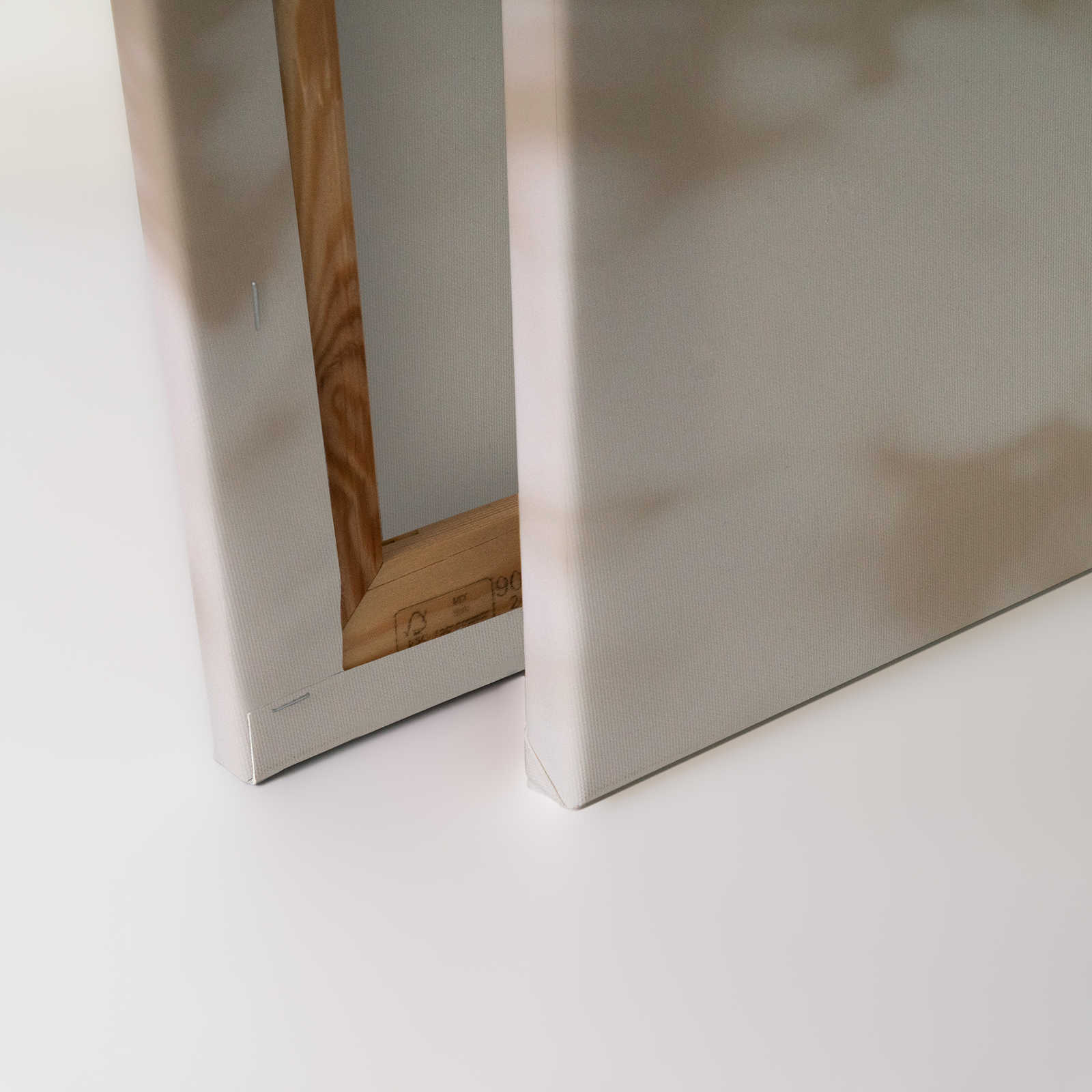             Light Room 3 - Leinwandbild Natur Schatten in Beige & Weiß – 0,90 m x 0,60 m
        