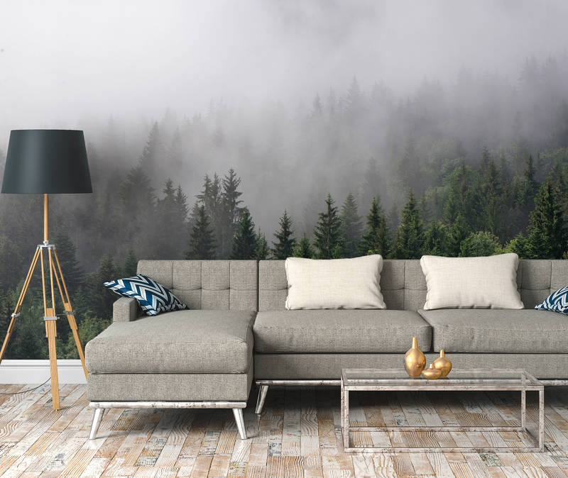             Wald von oben an einem nebeligen Tag – Grün, Weiß
        