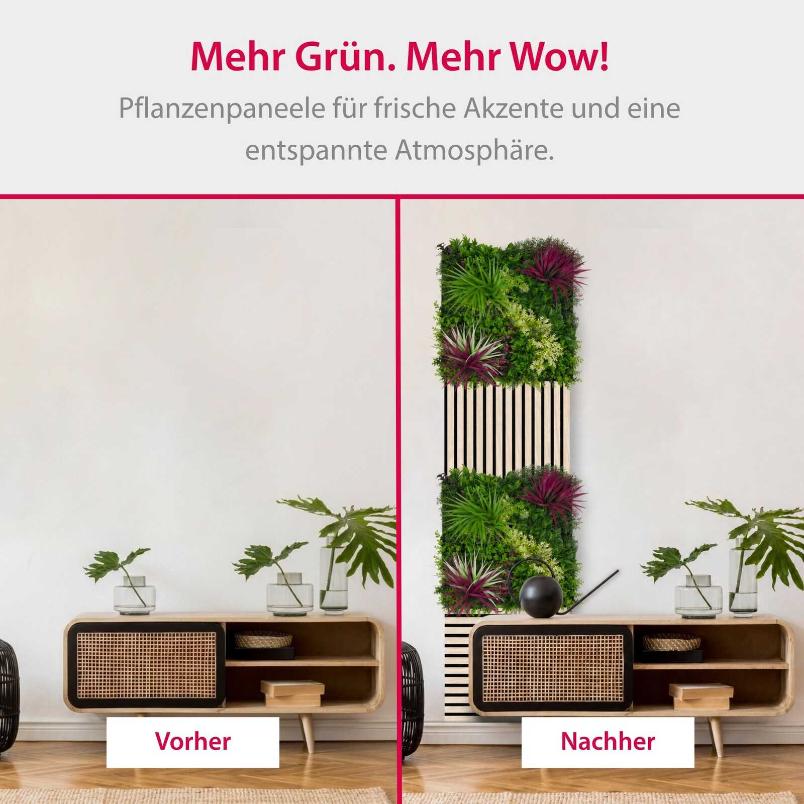 pflanzendetail, wandbegrünung, pflanzenwand, modulare grünfläche, moos und grün