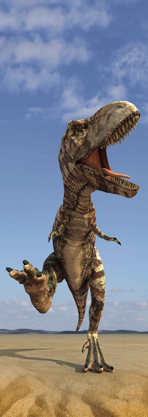 t-rex, dinosaur, jawed, pog, cartoon dinosaur