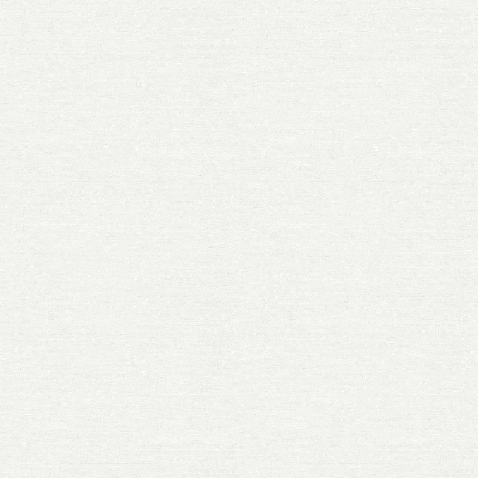         Overschilderbaar vliesbehang met lichte structuur dubbele breedte - wit
    