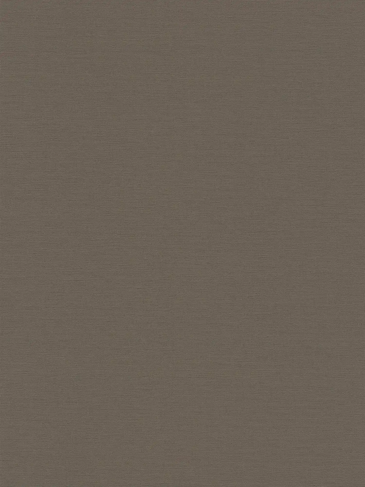 Papier peint aspect lin dans un style discret - beige