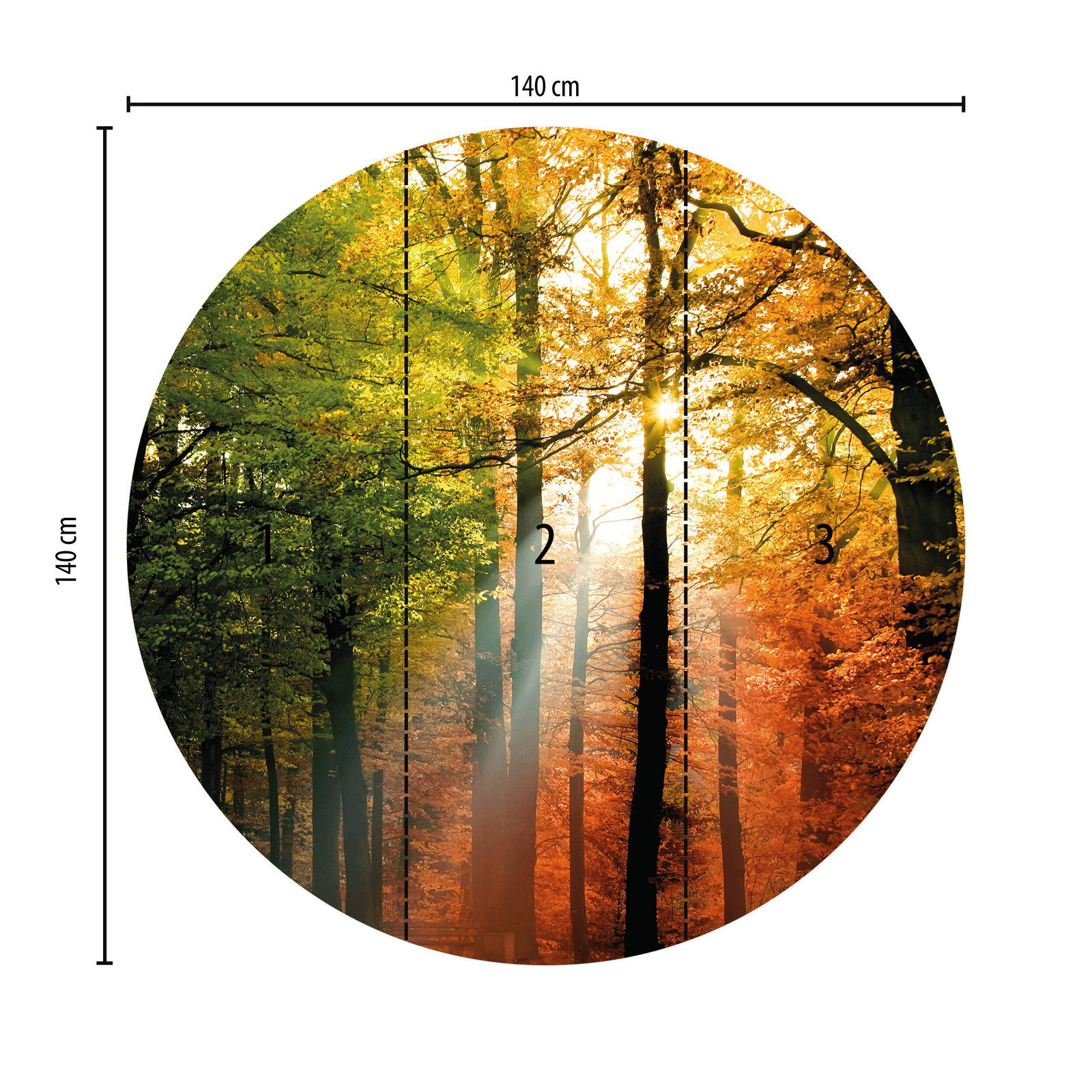             Runde Fototapete Wald und Sonnenschein
        