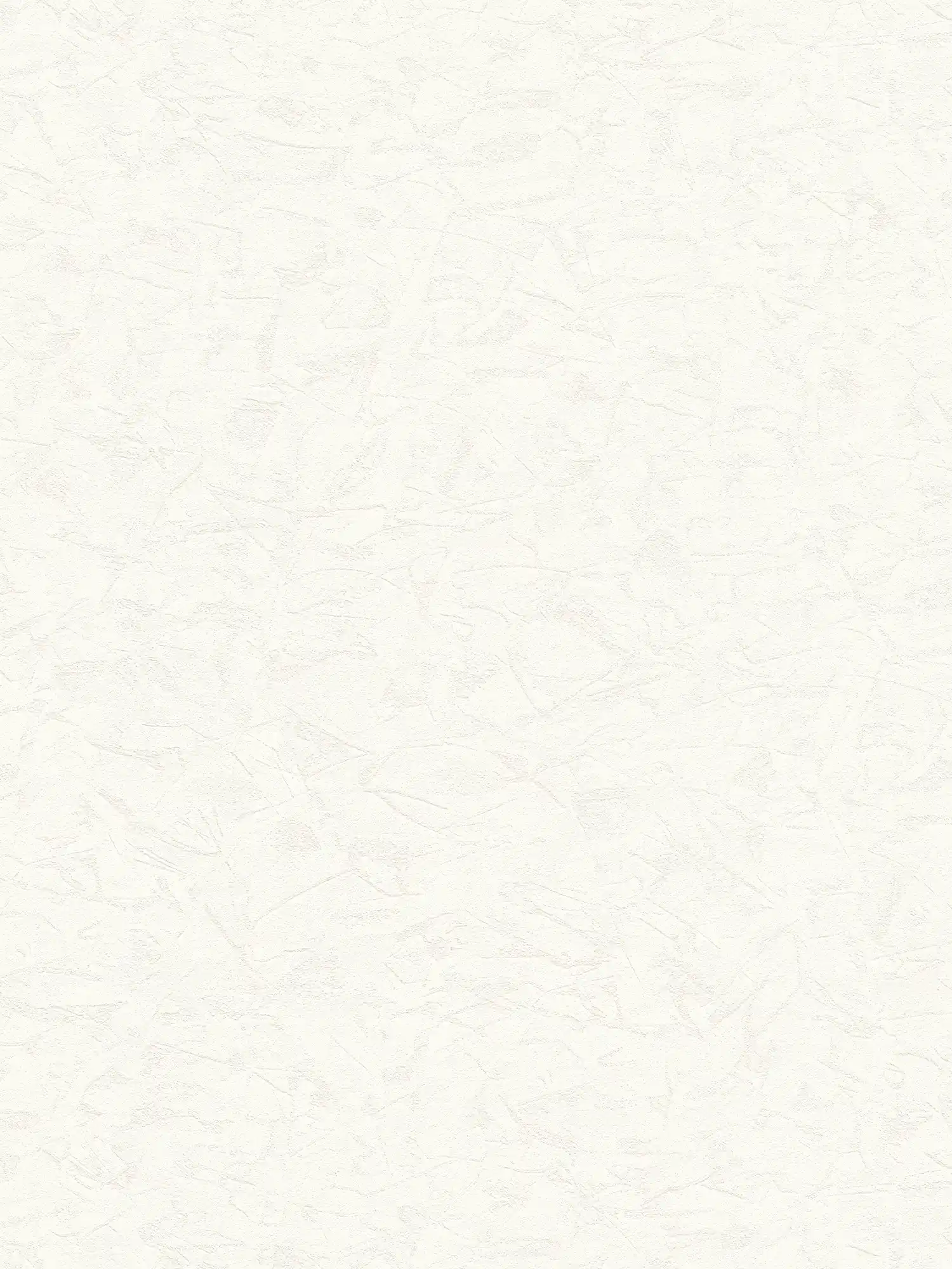         Vliestapete mit Wischputz-Optik im Retrostil – Weiß
    