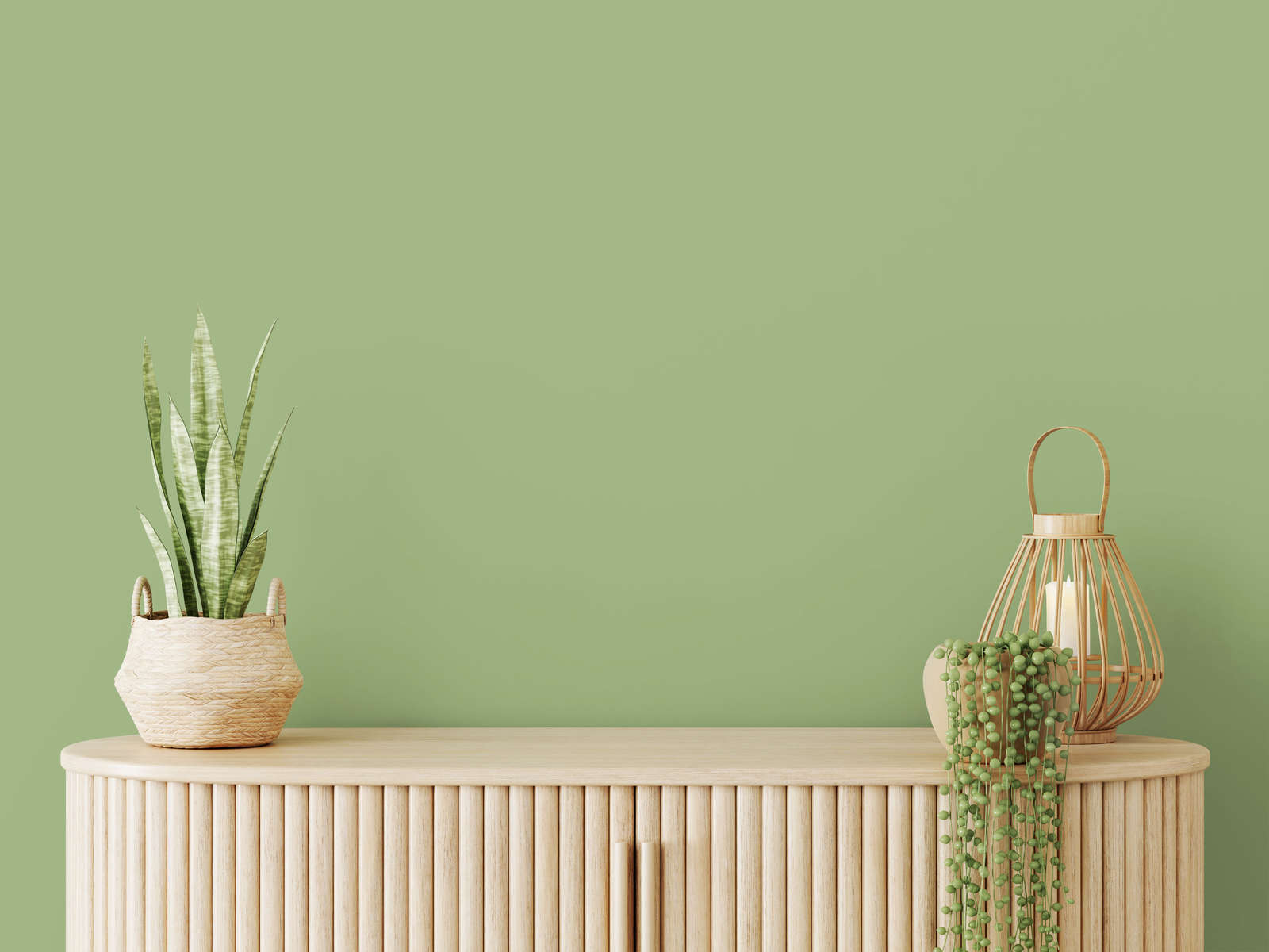 Pflanze, Pflanze im Topf, Krug, Pflanzgefäß, Innenarchitektur