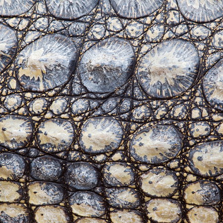 glas, blasenstruktur, textur, muster, blau-grau