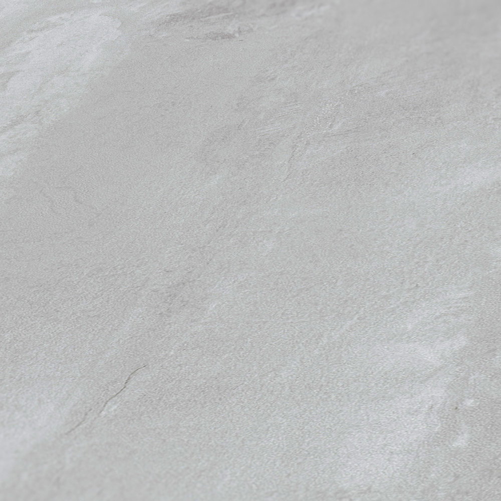             Betonbehang met veegvast motief in industriële stijl - grijs
        