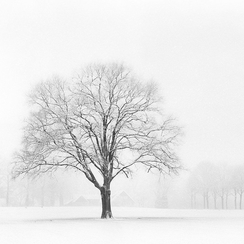         Architects Paper Fototapete AP Digital 4
    