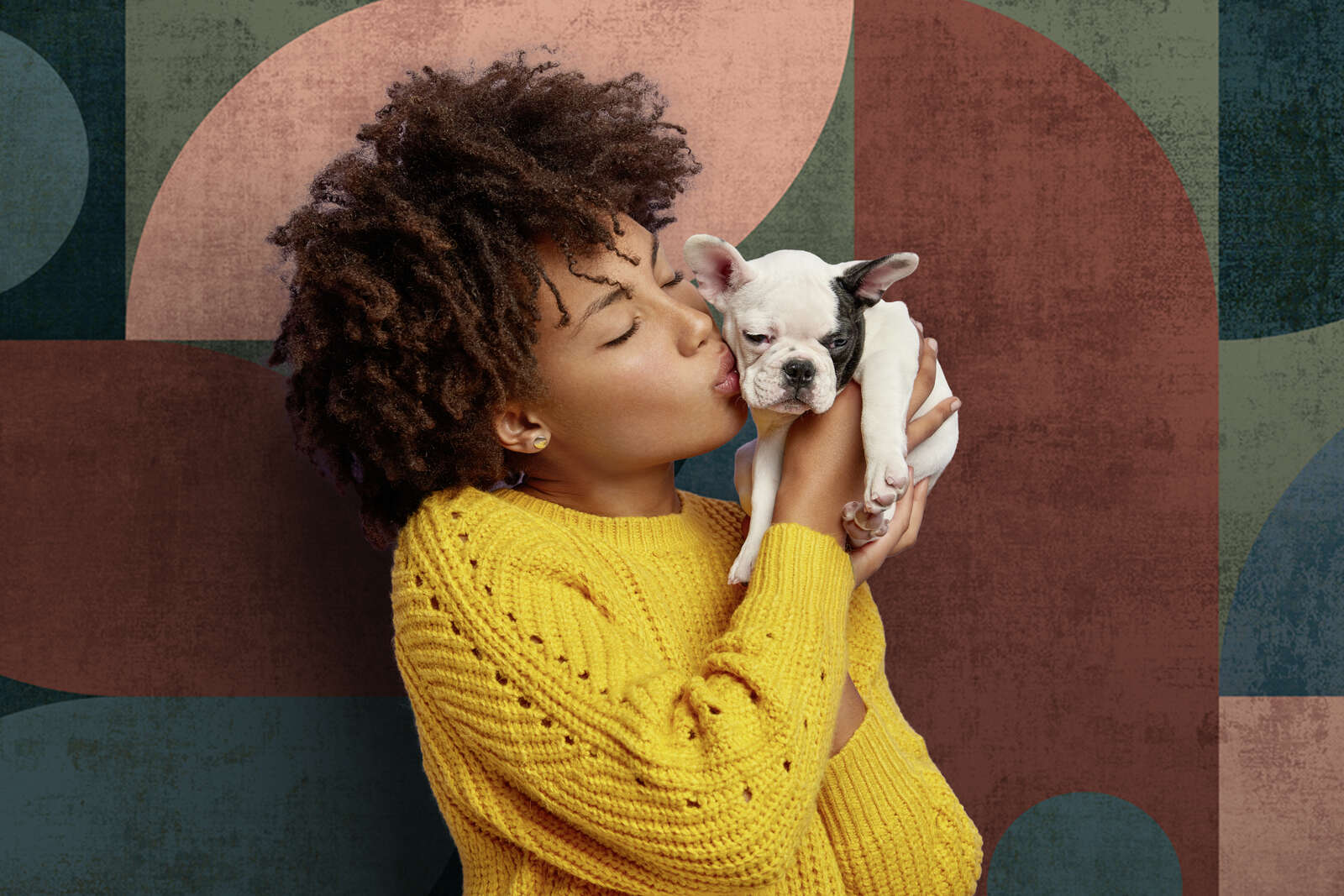 frau, gelber pullover, tier, hund, welpe