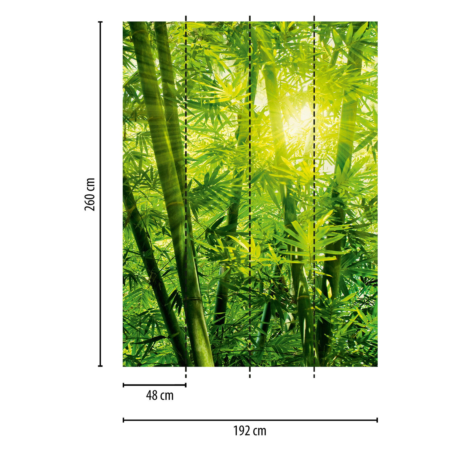 Bambus Fototapete Dschungel im Sonnenschein  Grn