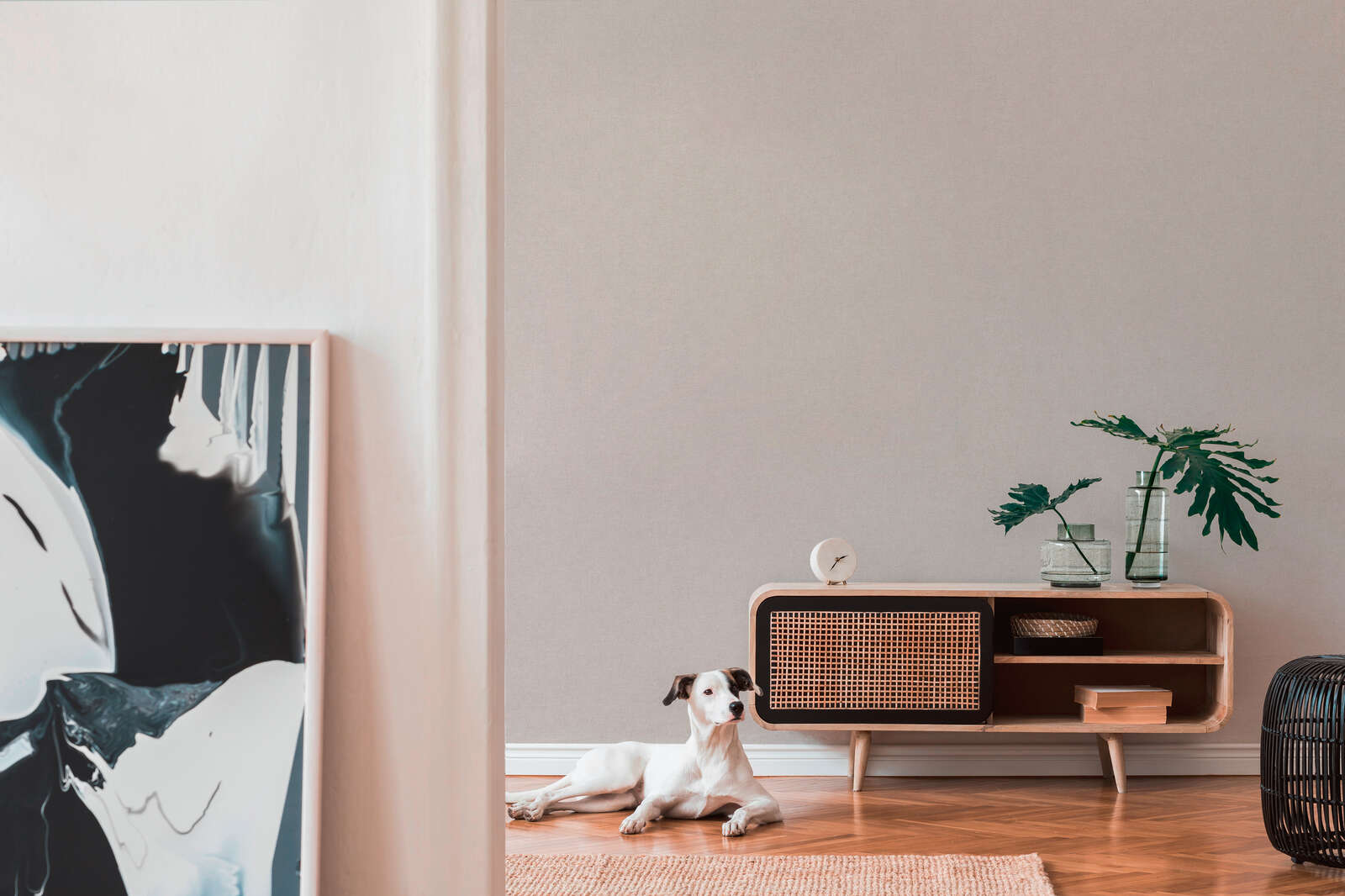 Tier, Hund, Säugetier