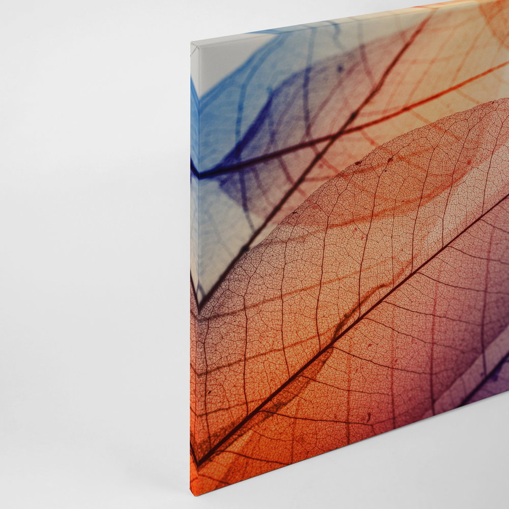             Leinwand mit Blättermuster Röntgen – 0,90 m x 0,60 m
        