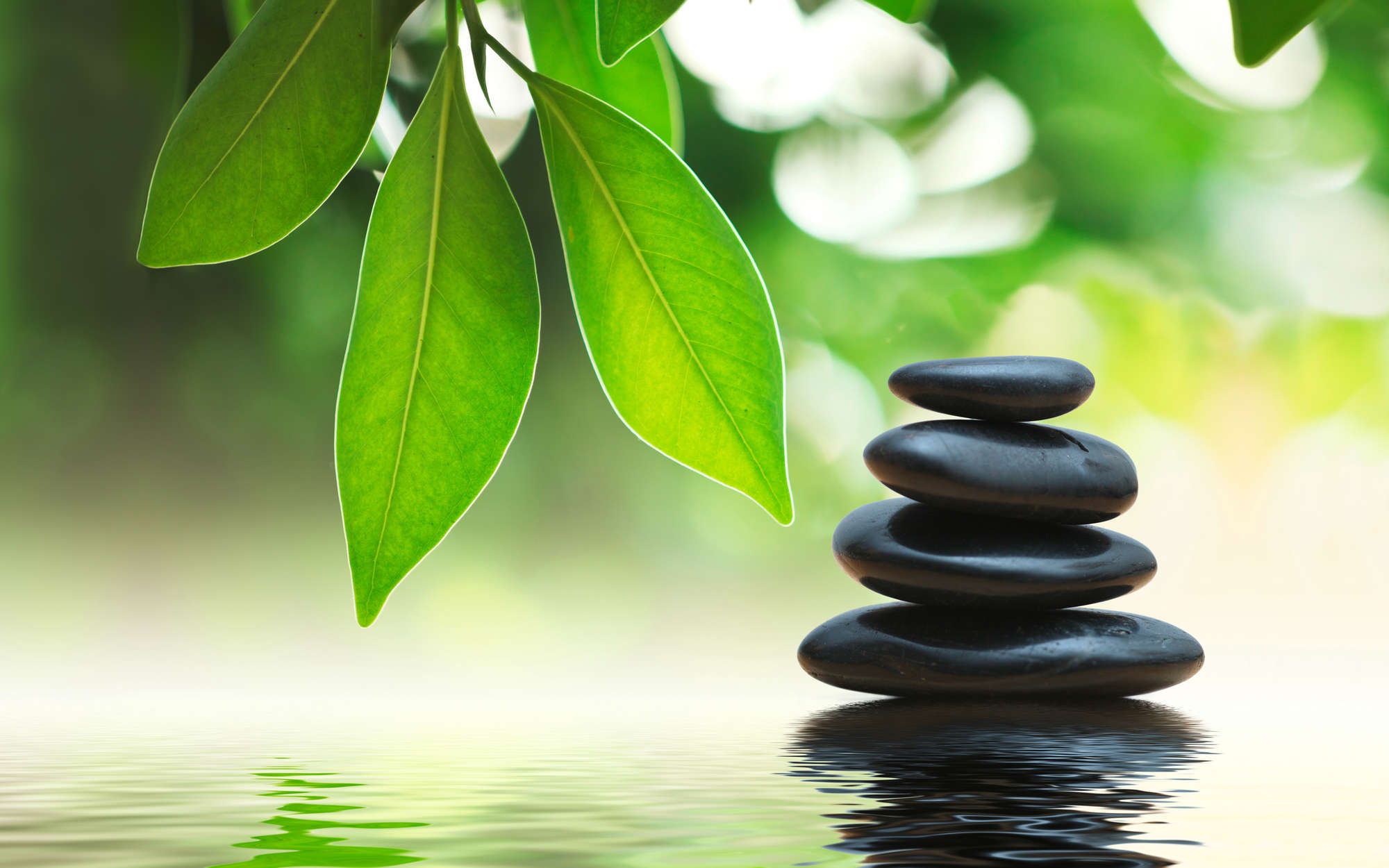             Fototapete gestapelte Wellness Steine im Wasser – Premium Glattvlies
        