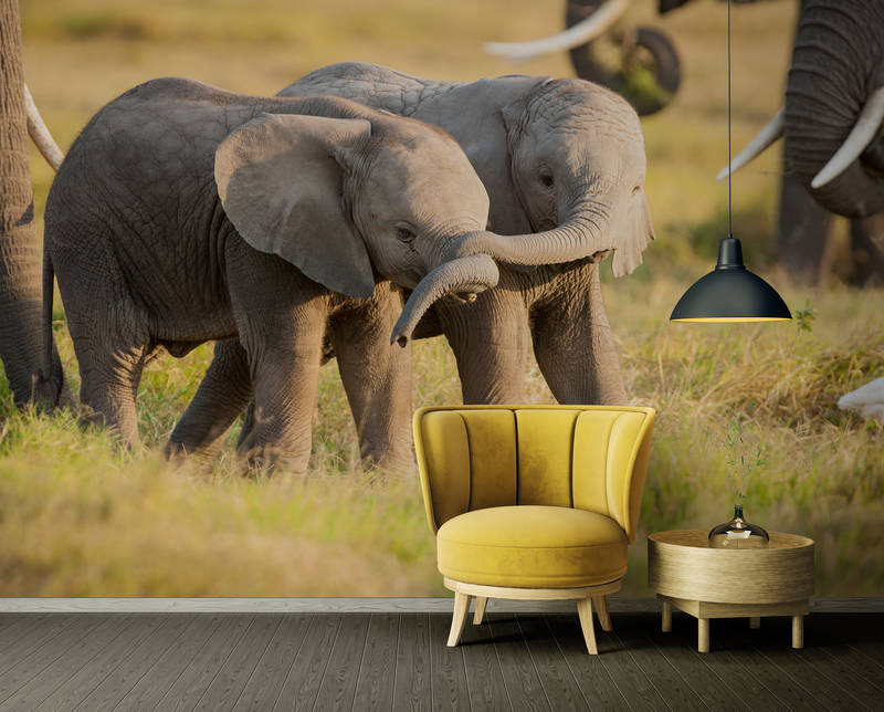             Architects Paper Fototapete AP Digital 2
        