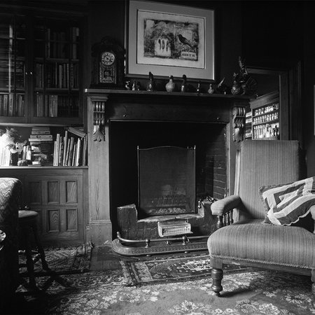 Wohnzimmer, Kamin, Sessel, Bücherregal, Teppich