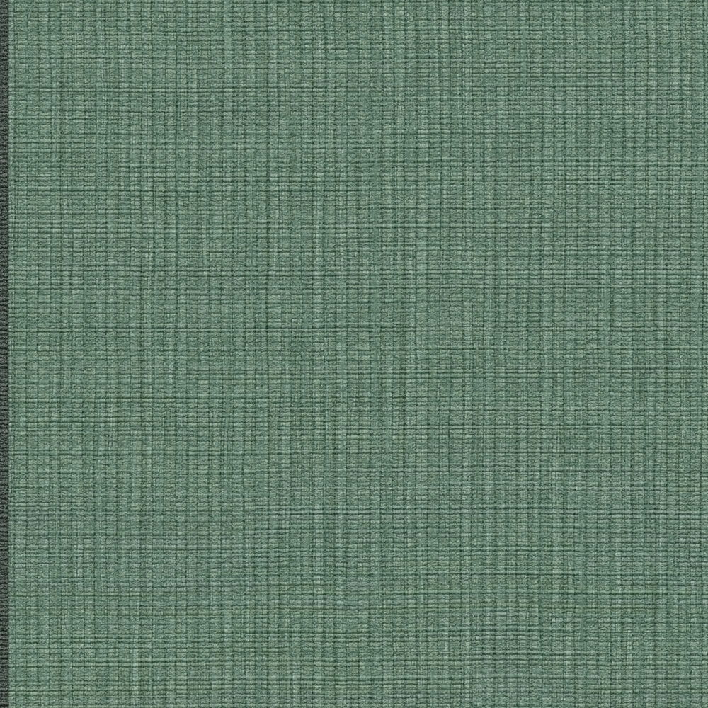             Gestreifte MICHALSKY Vliestapete mit Kontrast – Grün, Schwarz, Grau
        