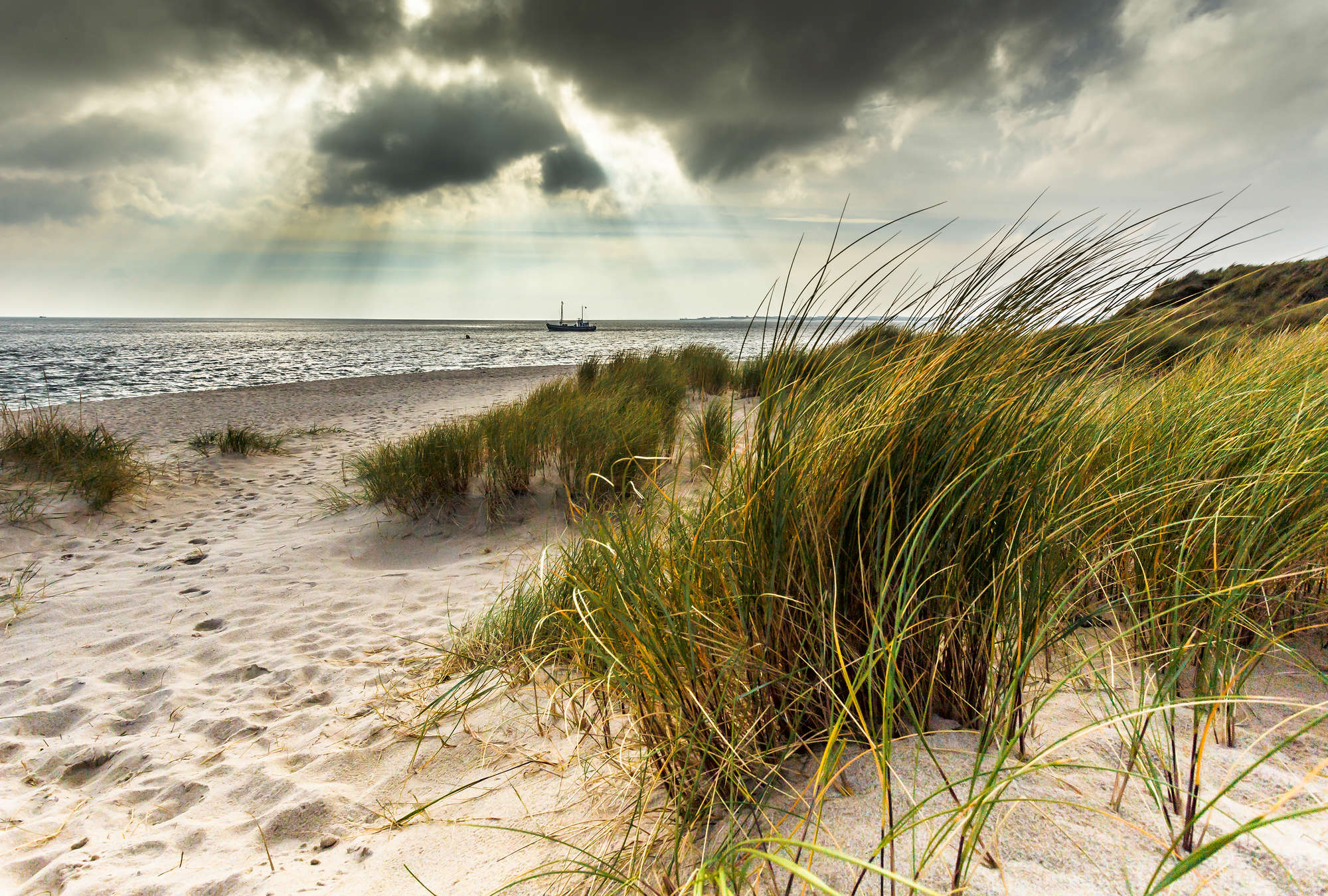 strand, meer, gras, strandkorngrass, boot