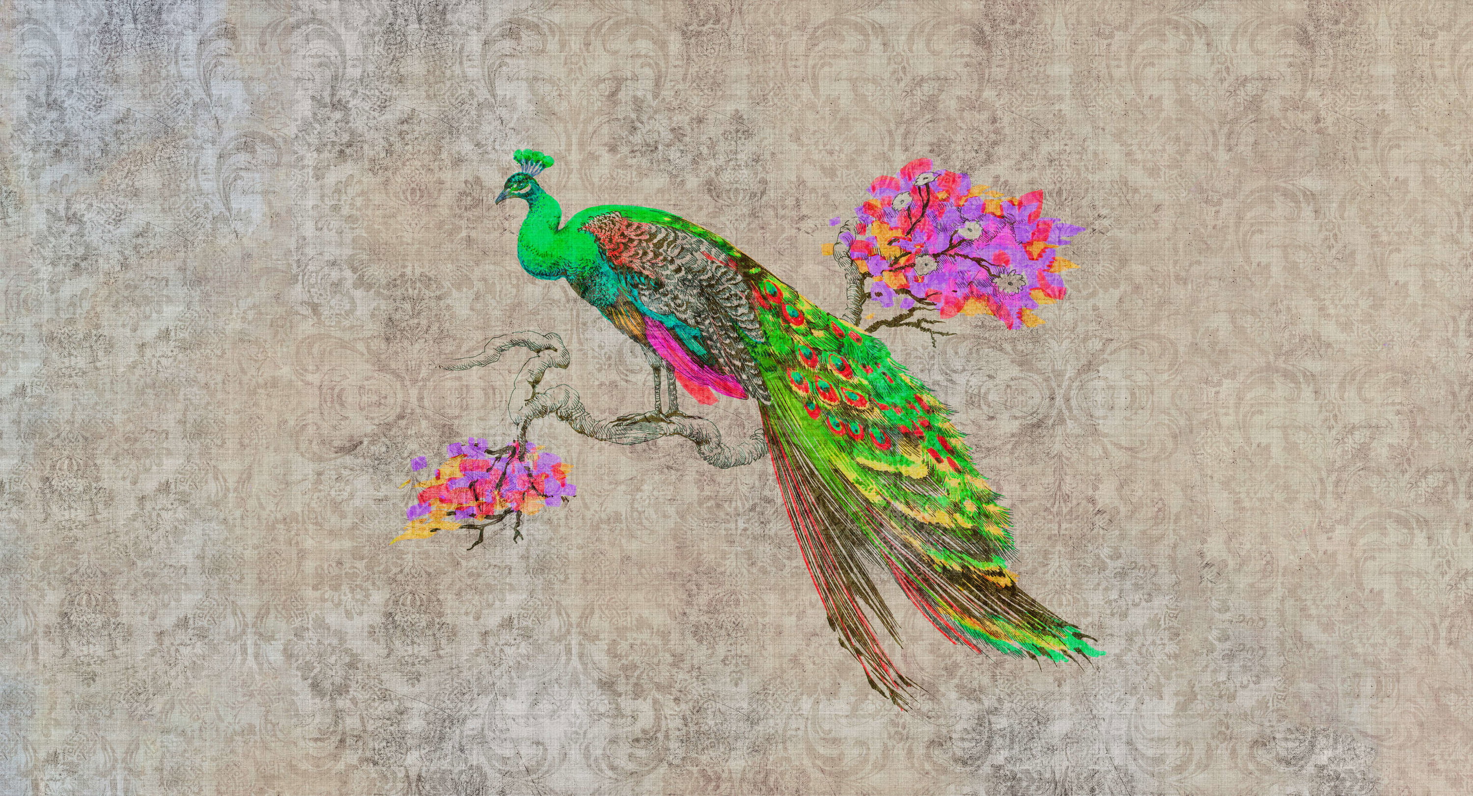 Tier, Vogel