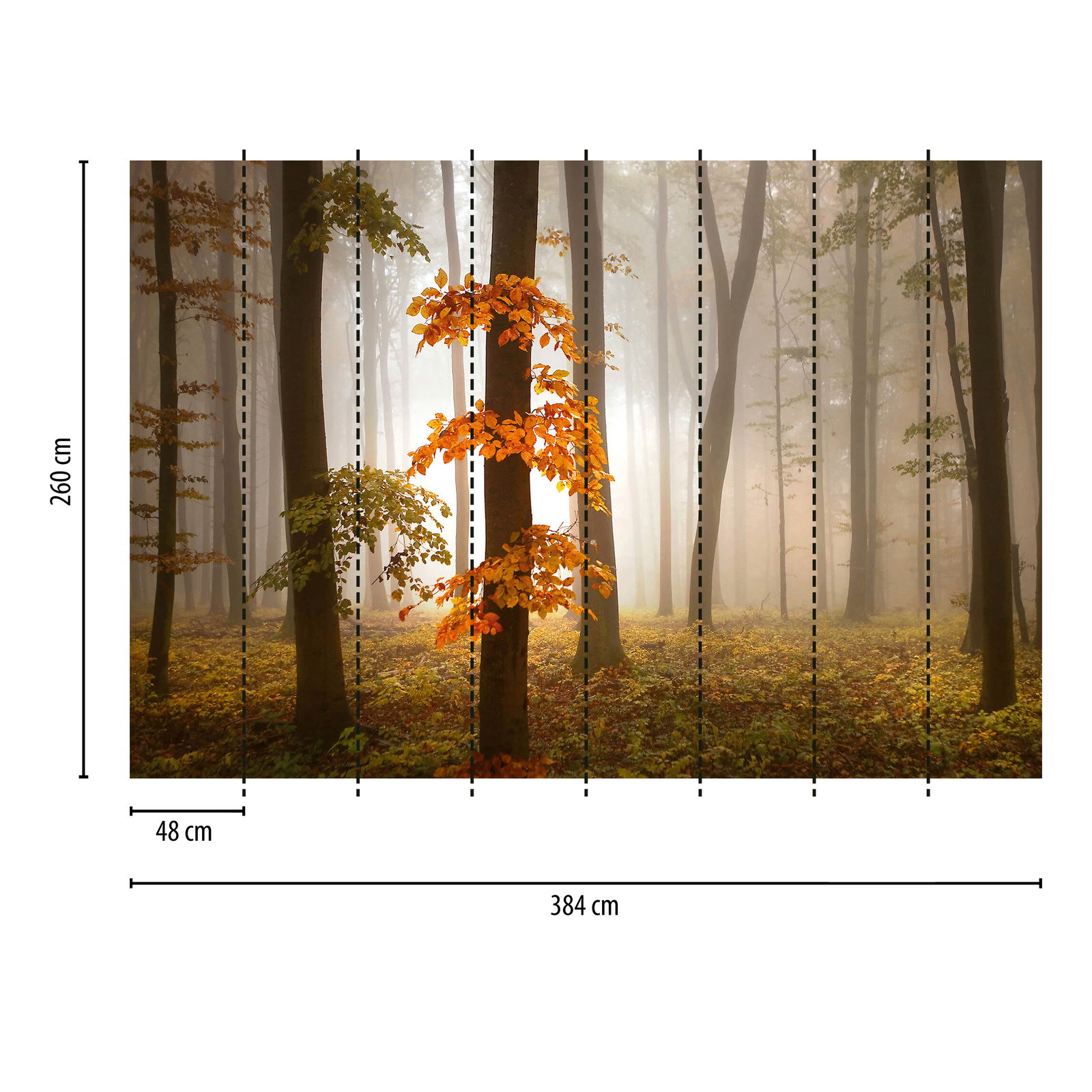 Fototapete Wald im Herbst mit Nebel – Orange, Braun