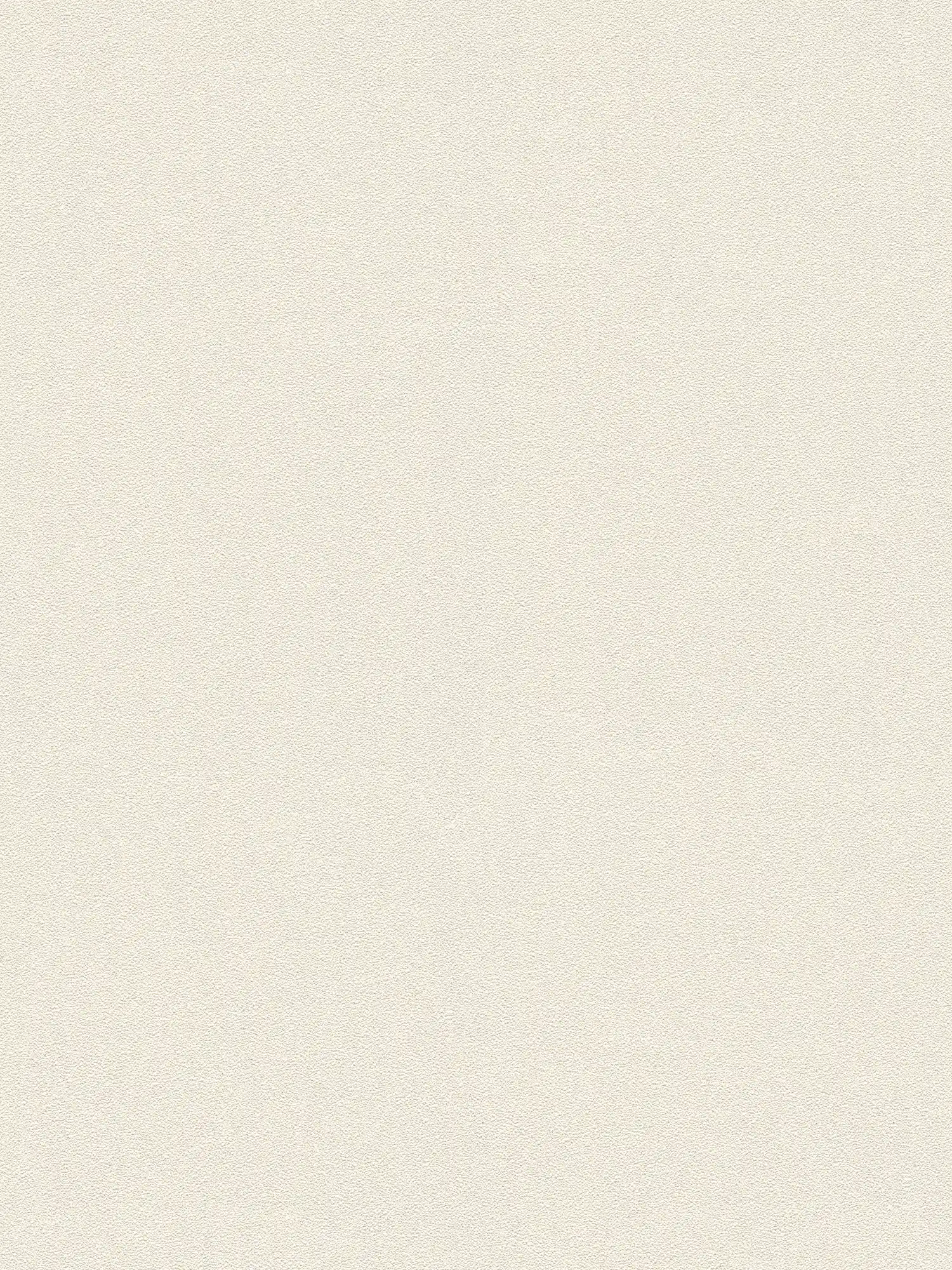         Plain wallpaper natural colour and texture pattern - beige, cream
    