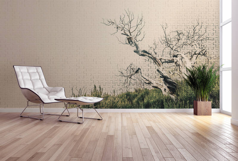 Fußboden, Innenarchitektur, Bodenbeläge, Holz, Mobiliar