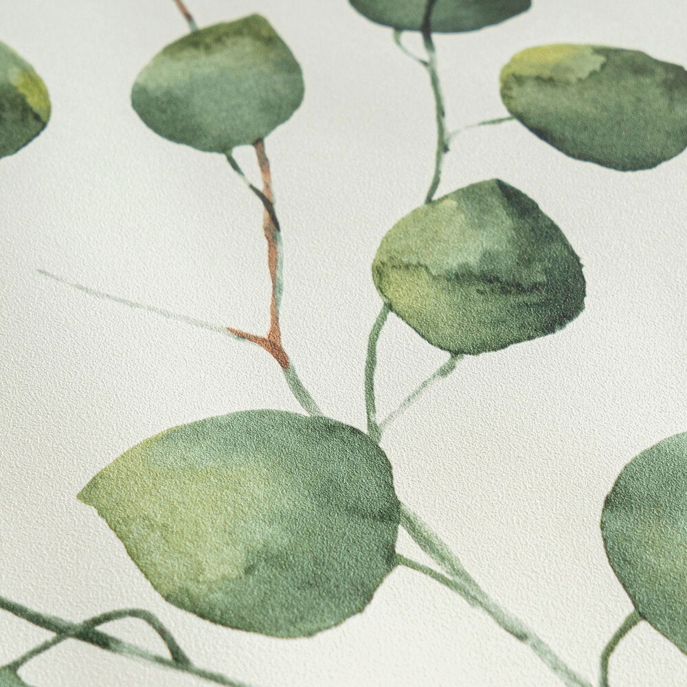 Blatt, Pflanze, Blume, Blütenblatt, Weinrebe