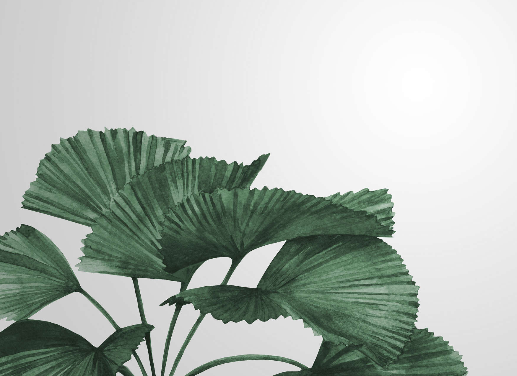 blatt, palme, farn, grün, illustration