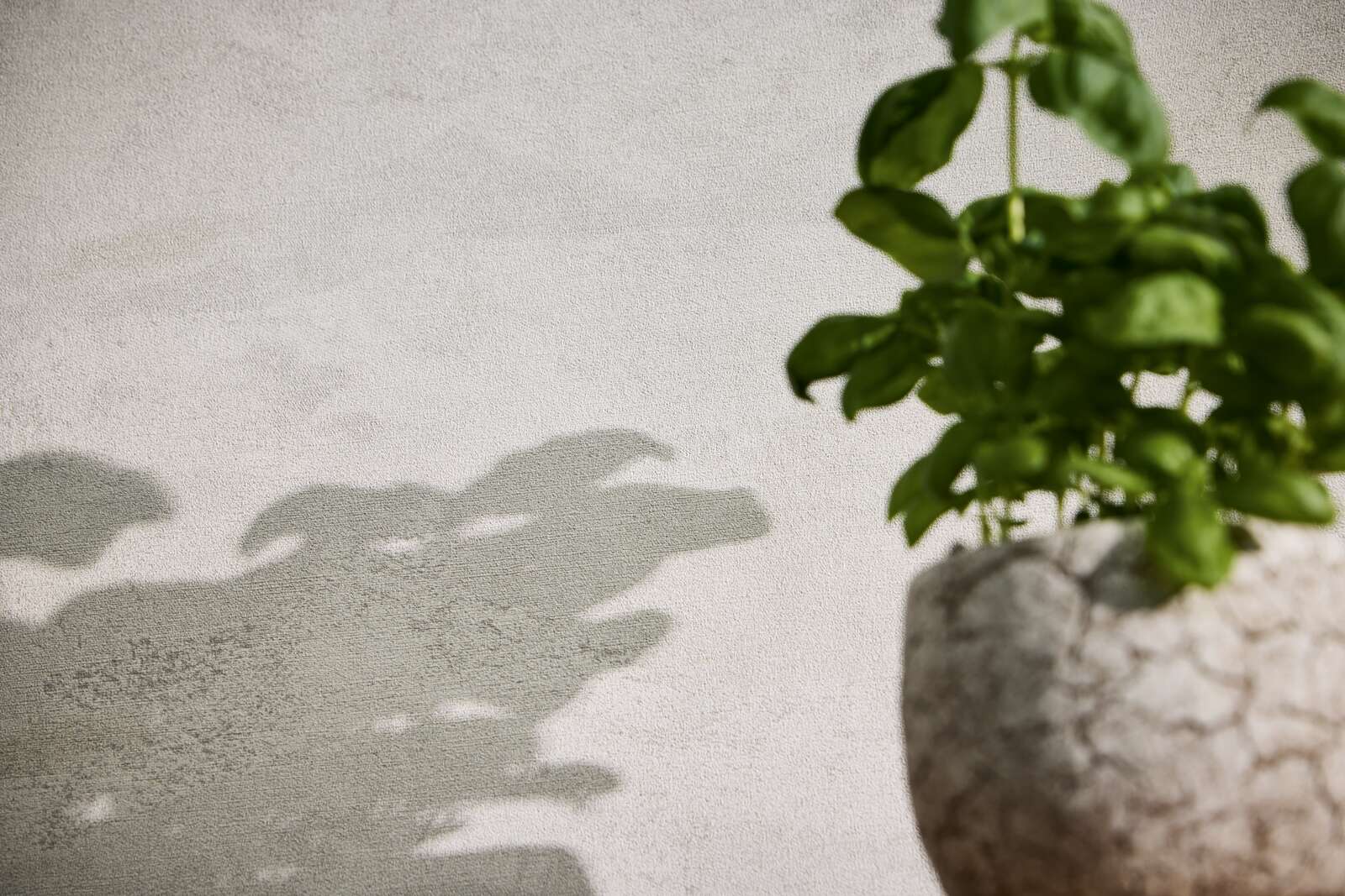             Exklusive Vliestapete mit strukturierter und schimmernder Wellenoptik – Weiß, Grau, Metallic
        