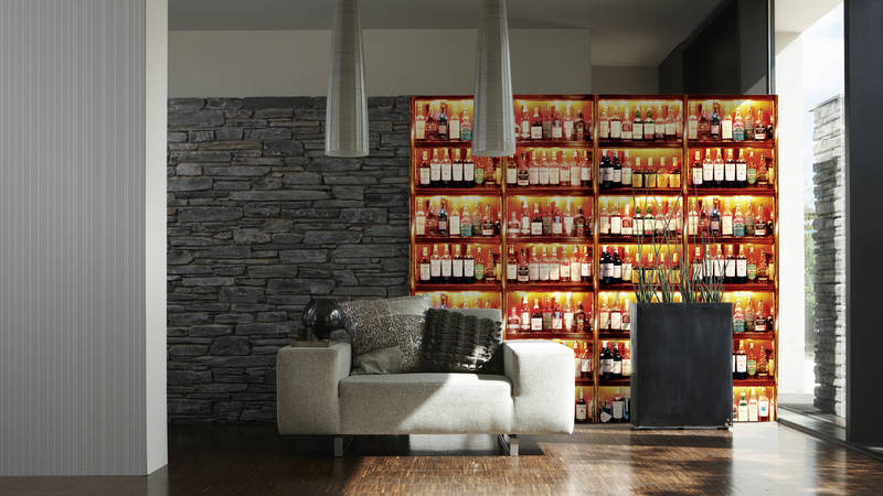 sofa, wohnzimmer, steinwand, regal, pflanze