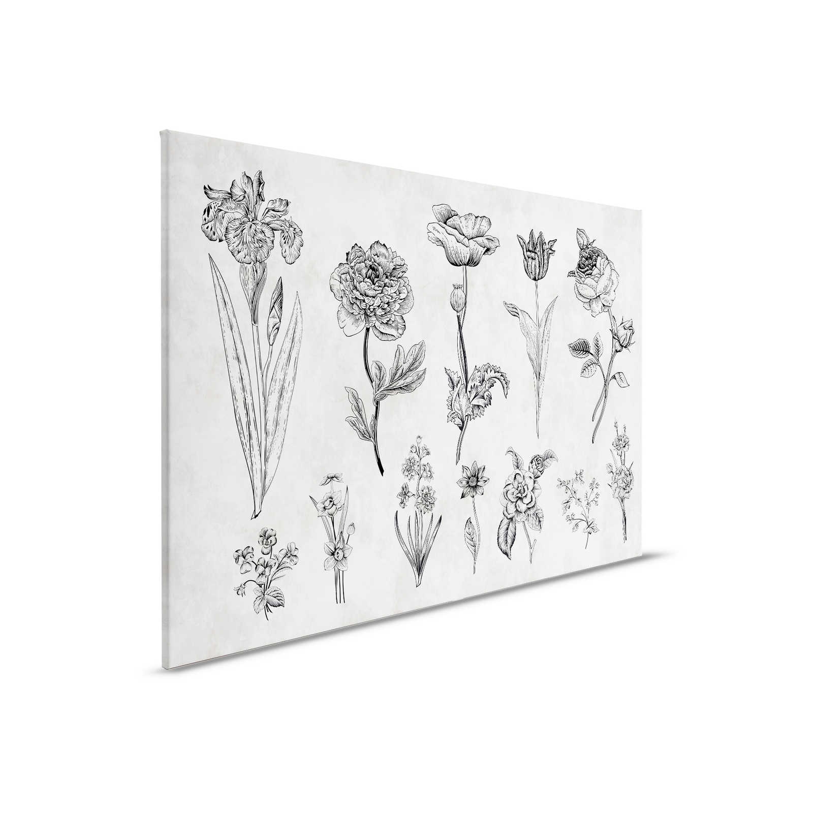         Canvas painting Flowers in drawing style - 0,90 m x 0,60 m
    