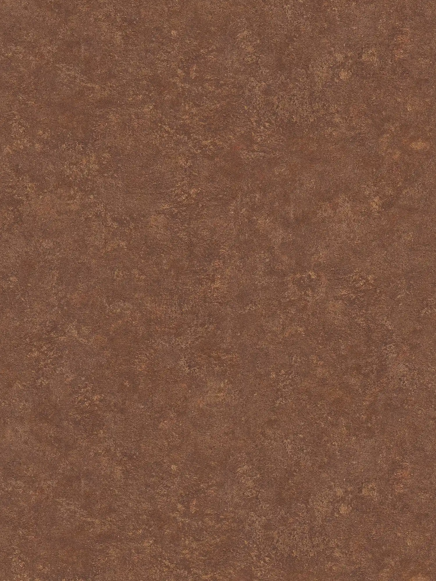         Behang metaal & roest look in industriële stijl - bruin, oranje
    