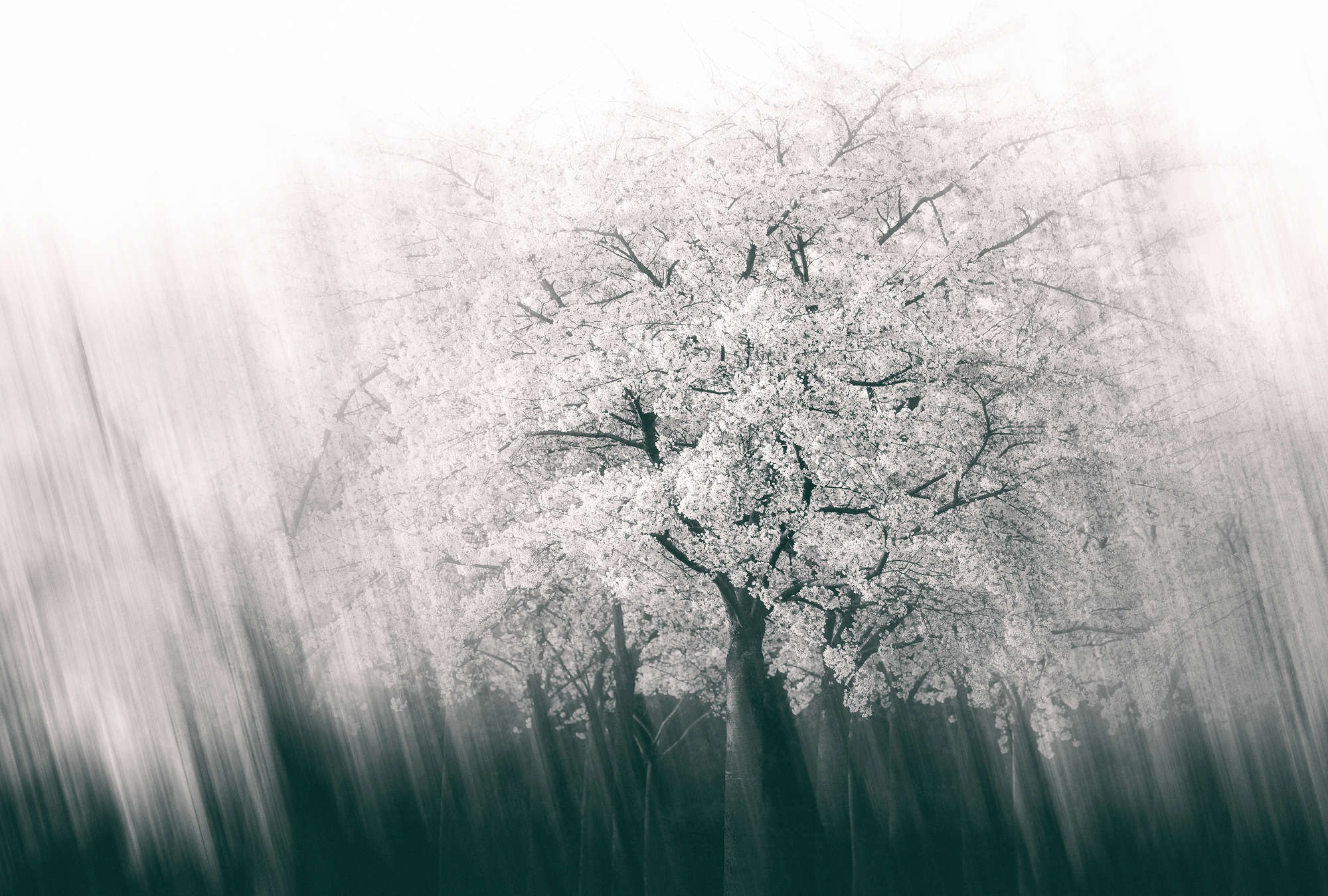             Architects Paper Fototapete AP Digital 4
        