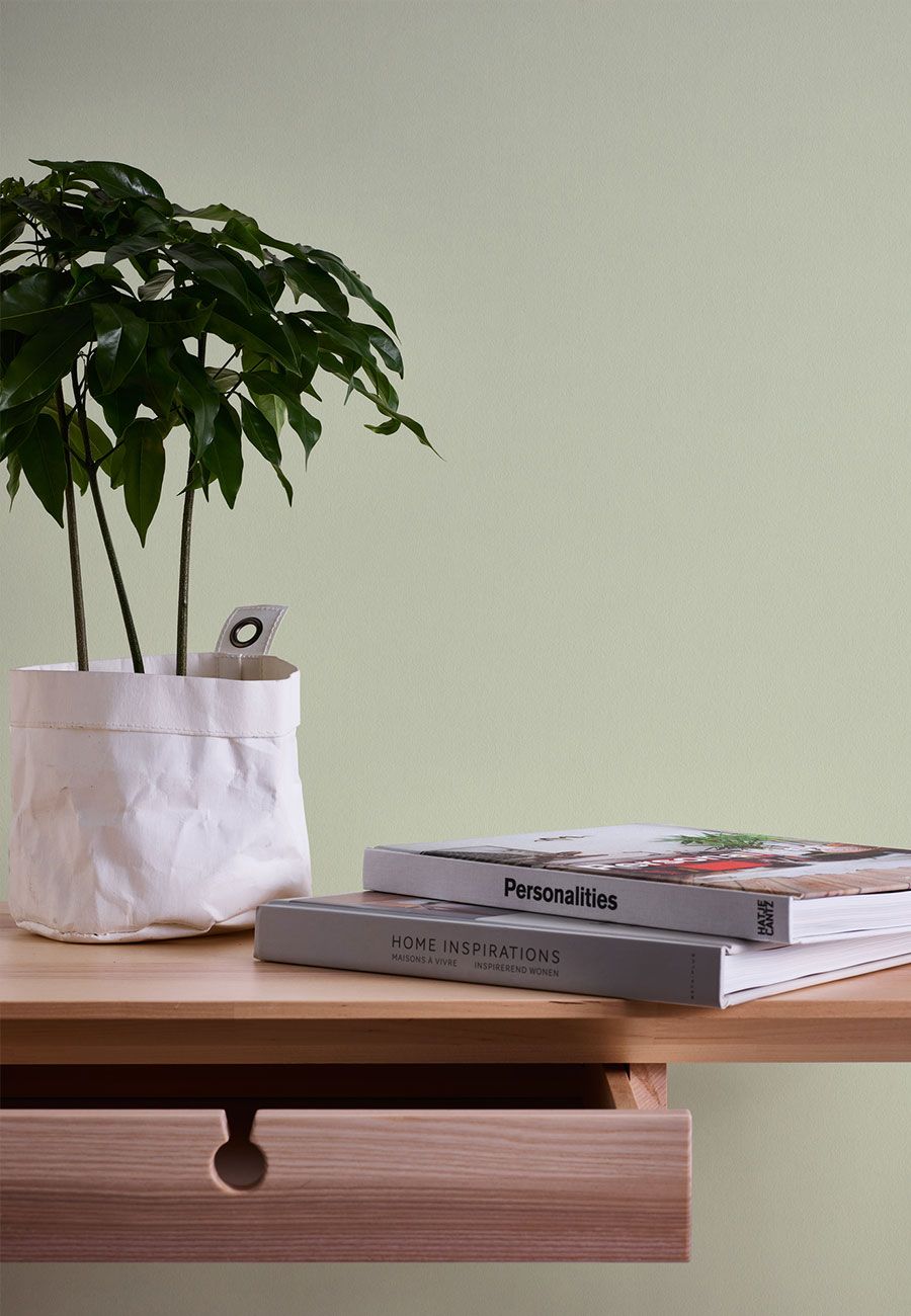 Tapete-Glasfaser_AS090351