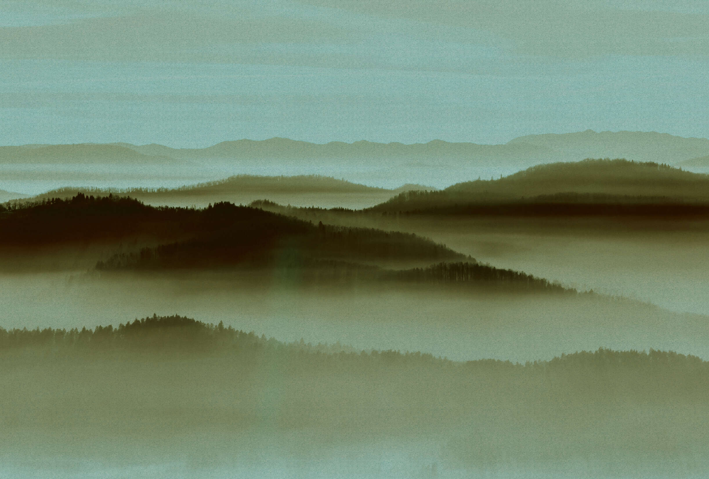 Natur, Draußen, Wetter, Nebel