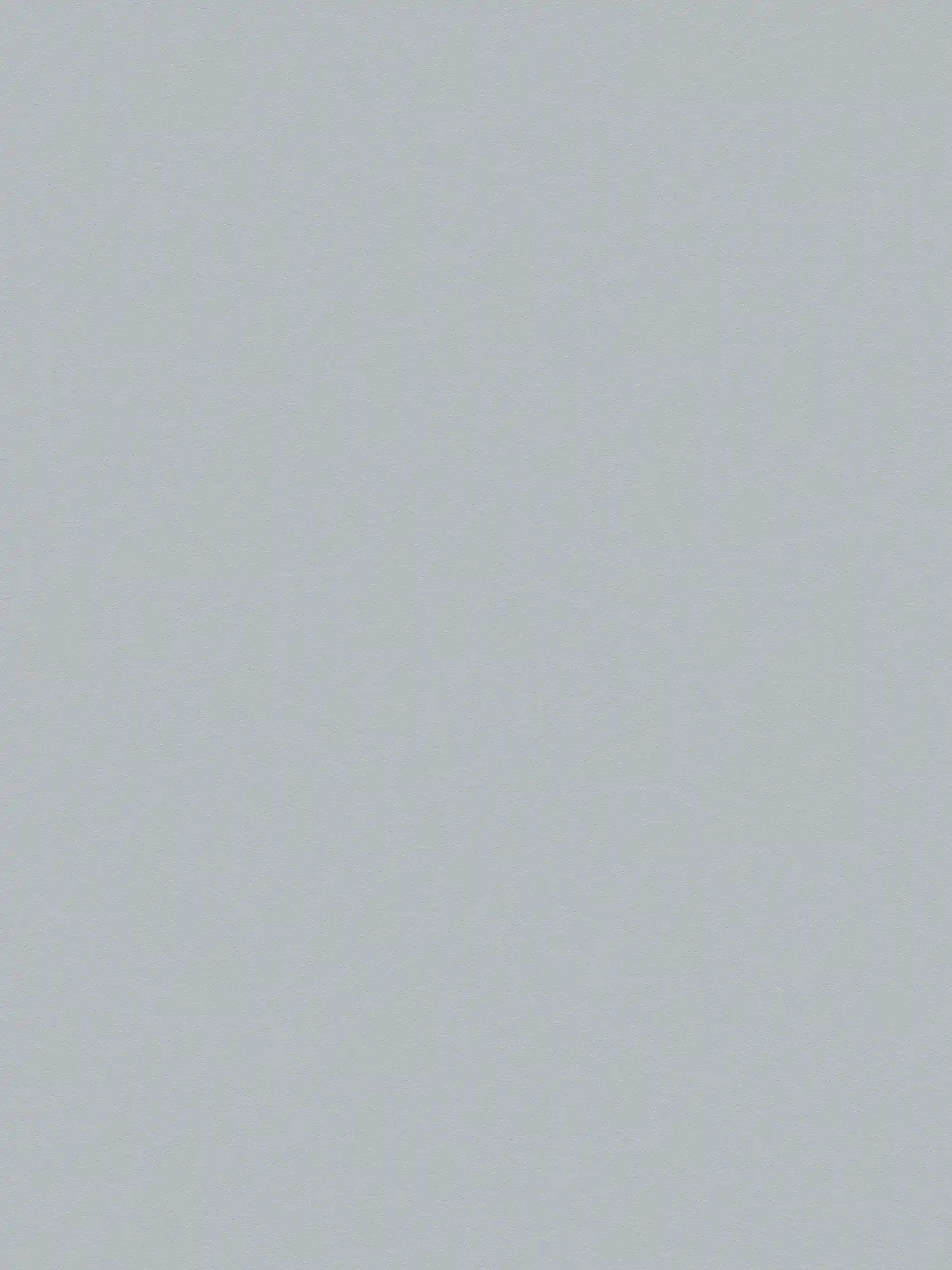         Non-woven wallpaper stone grey monochrome, matt & with foam structure
    