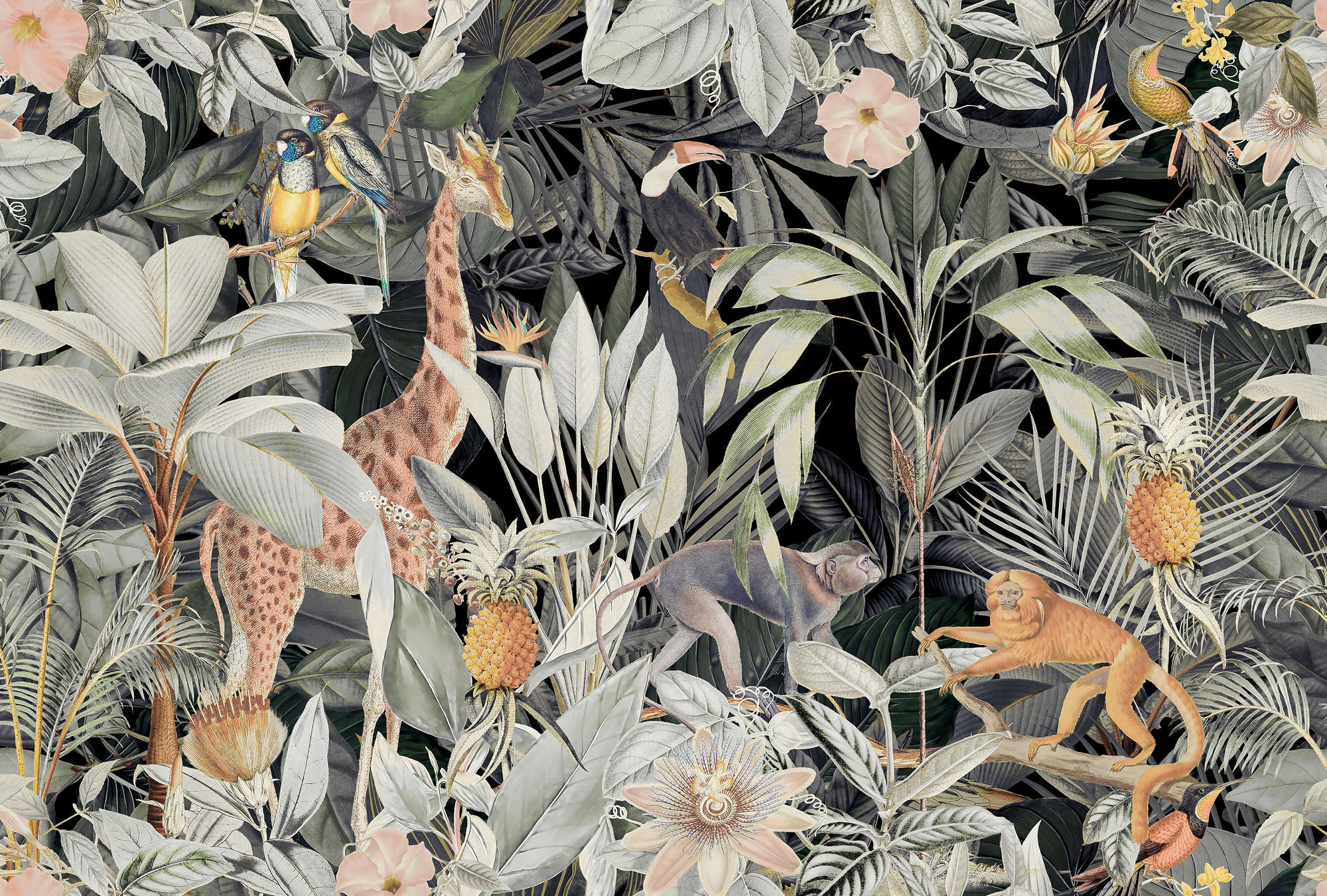 Dschungel, tropisch, Giraffe, Affe, Ananas