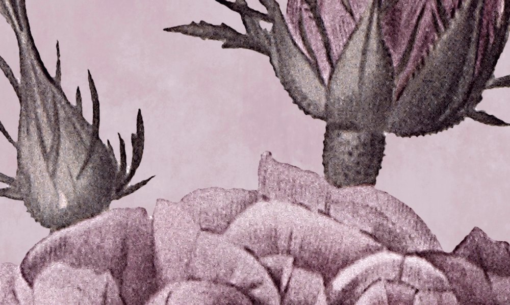 Kunst, Blume, Pflanze, Zeichnen