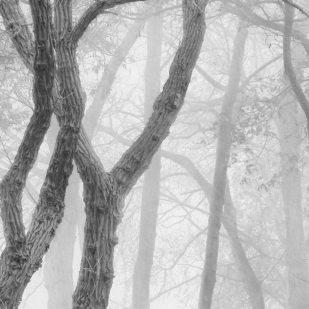             Architects Paper Fototapete AP Digital 4
        