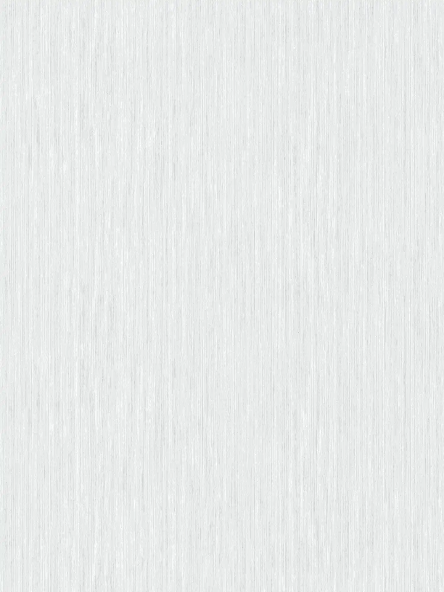         Einfarbige Tapete Hellgrau mit meliertem Textileffekt von MICHALSKY
    