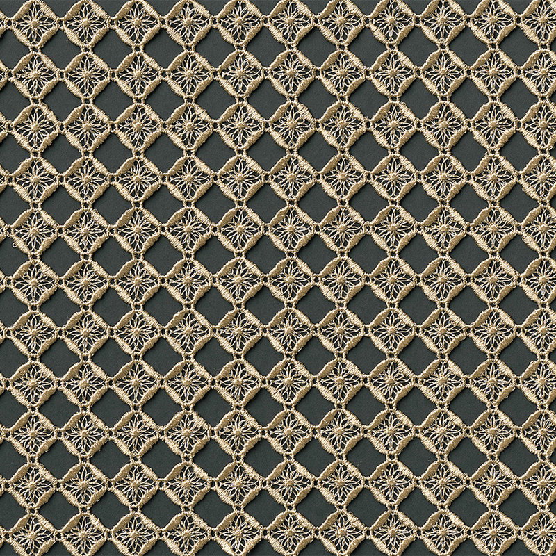 Spitze, Netz, Spinnennetz, goldfarbene Garnitur, Textiles Muster