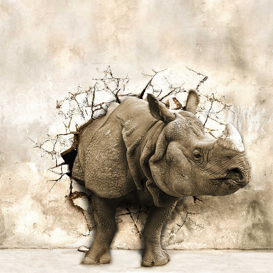         Papier peint animalier rhinocéros dans le mur sur intissé lisse premium
    