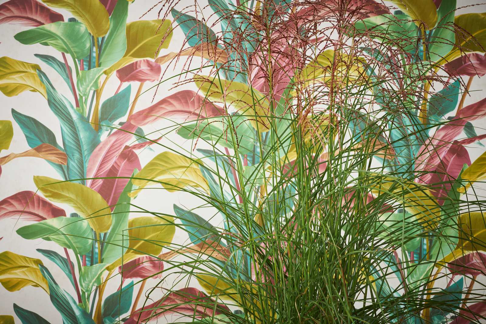             Behang met bladmotief in heldere kleuren - kleurrijk, crème, groen
        