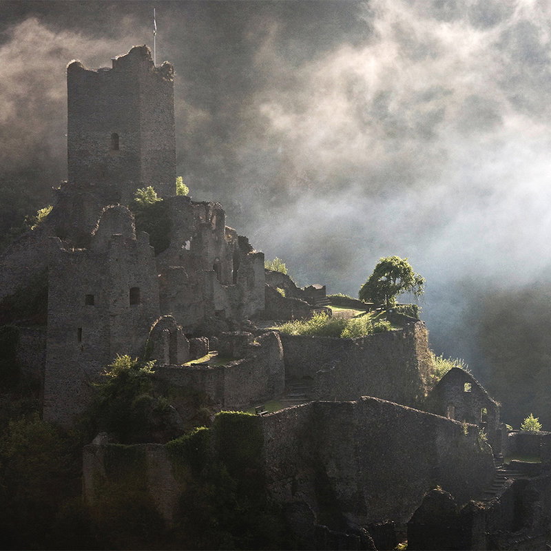 ruins, castle, medieval, stone, fog