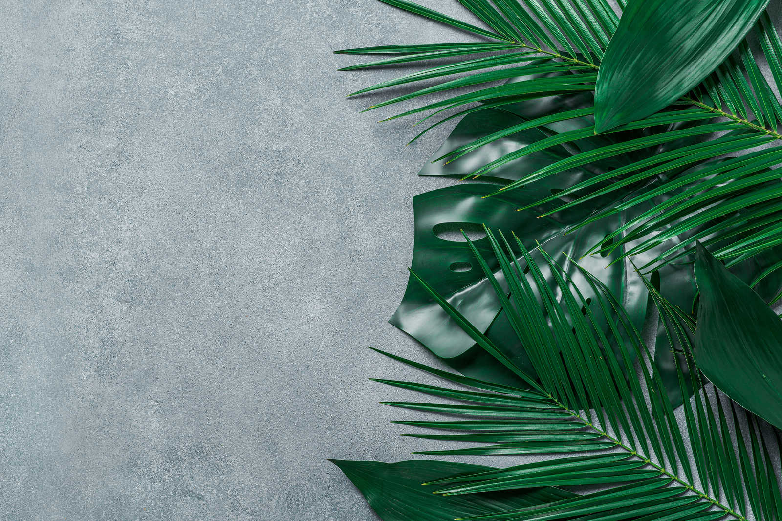             Leinwandbild tropische Blätter auf Betonuntergrund – 0,90 m x 0,60 m
        